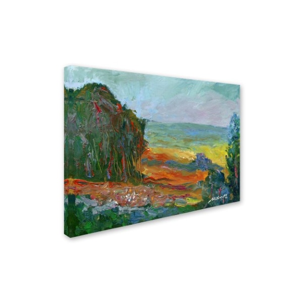 Manor Shadian 'Fall Fields' Canvas Art,18x24